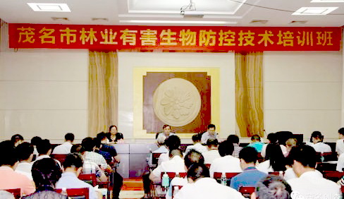 Ӵ󞳅^(q)֘I(y)кΌ(zhun)(xing)W(xu)(x)Ӗ(xn)